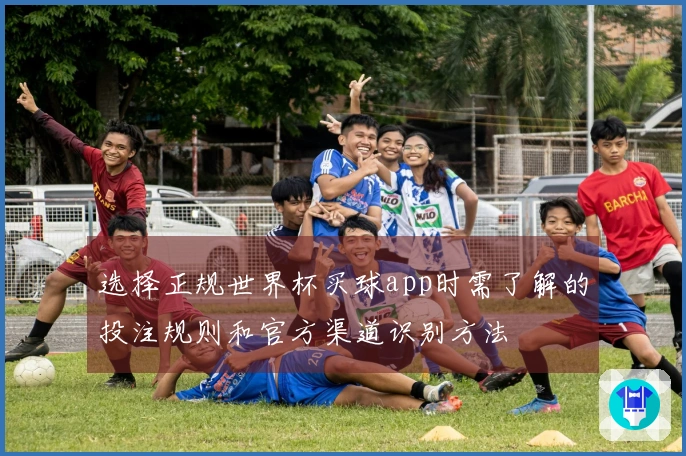 选择正规世界杯买球app时需了解的投注规则和官方渠道识别方法