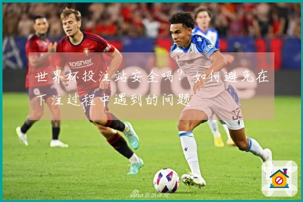 世界杯投注站安全吗？如何避免在下注过程中遇到的问题